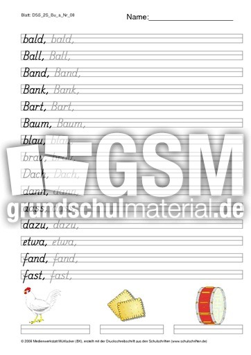 DSS_2S_Bu_a_Nr_08.pdf